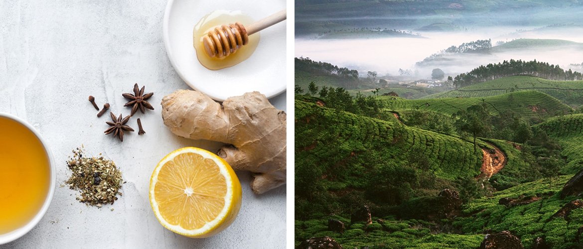Collage aus einem grünen Tal auf der einen Seite, und einem Bild mit einer Ingwerknolle, Koriander und einer aufgeschnittenen Orange auf der anderen